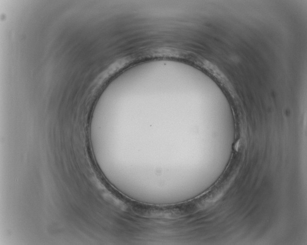 X0000085310625200703231924