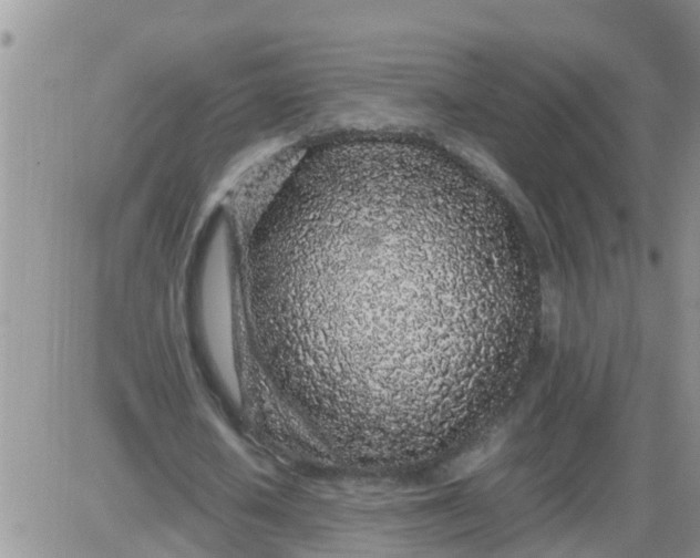 X0000085310626200703231924