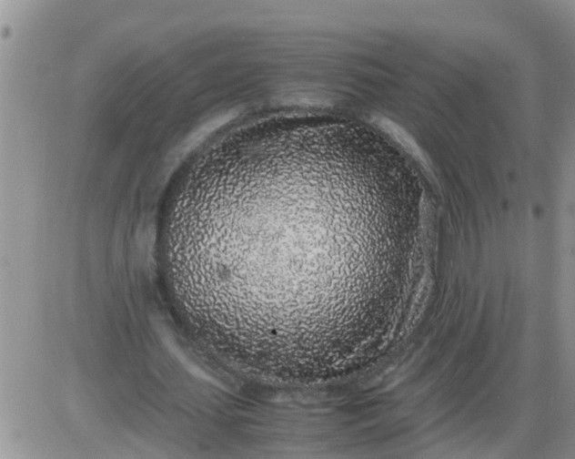 X0000085310627200703231924