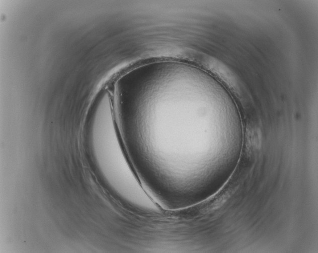 X0000085310628200703231924