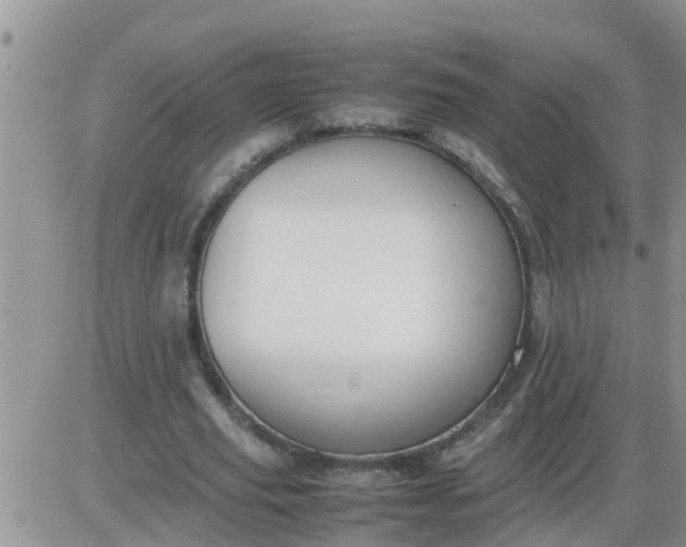 X0000085310629200703231924