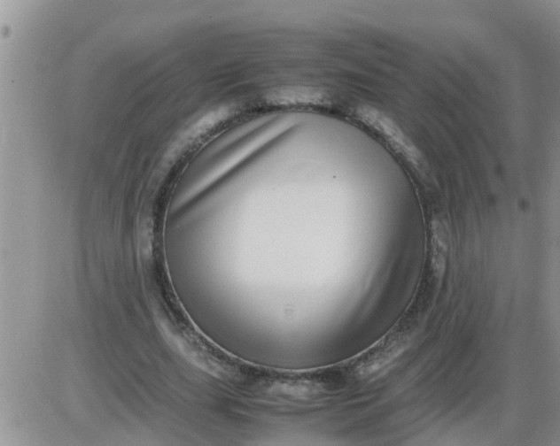 X0000085310631200703231924