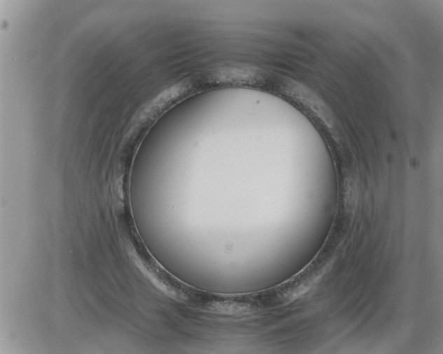 X0000085310633200703231924