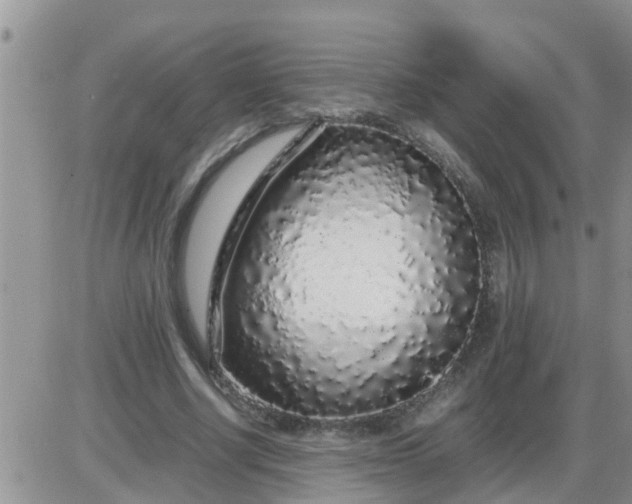 X0000085310634200703231924