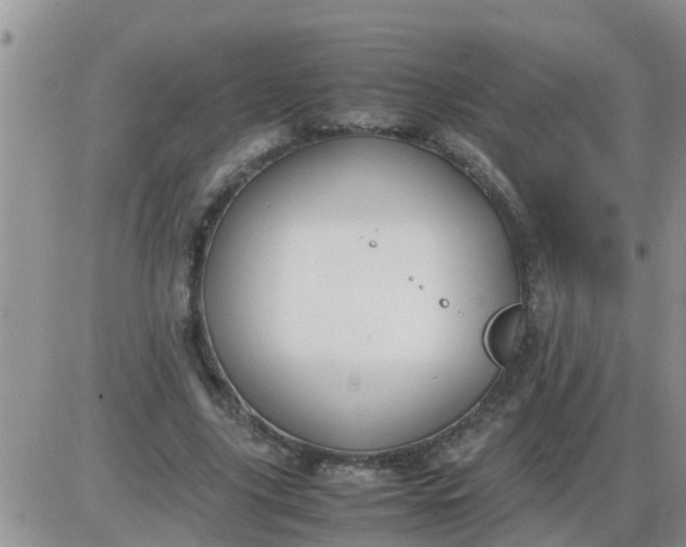 X0000085310635200703231924