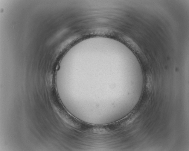 X0000085310636200703231925