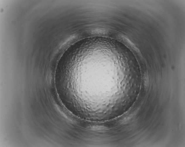 X0000085310637200703231925