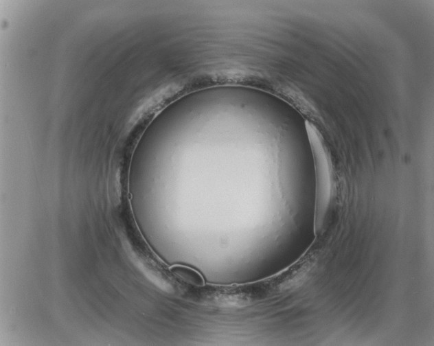 X0000085310638200703231925