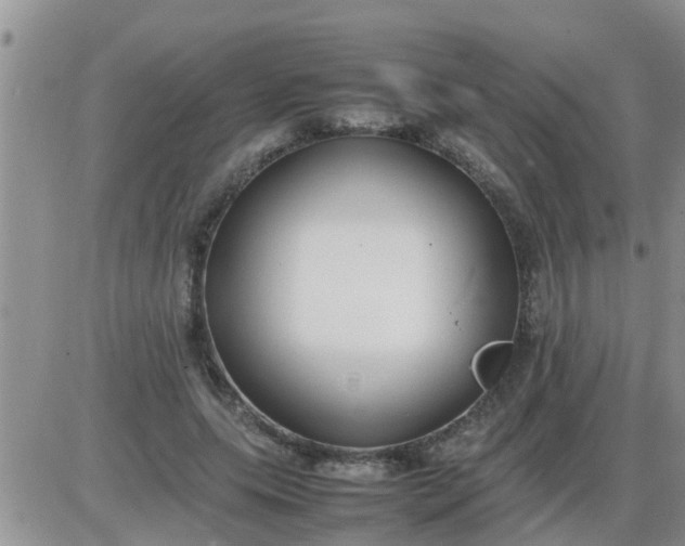 X0000085310639200703231925