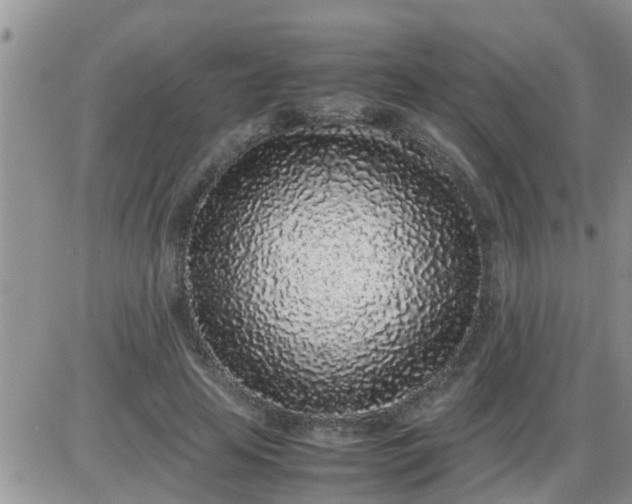 X0000085310641200703231925