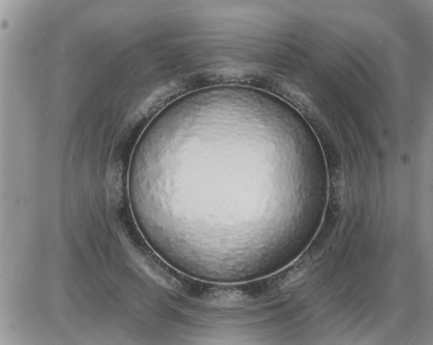 X0000085310642200703231925