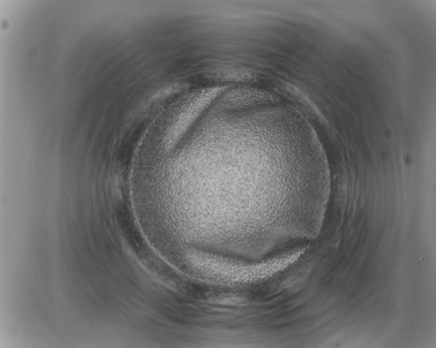 X0000085310643200703231925