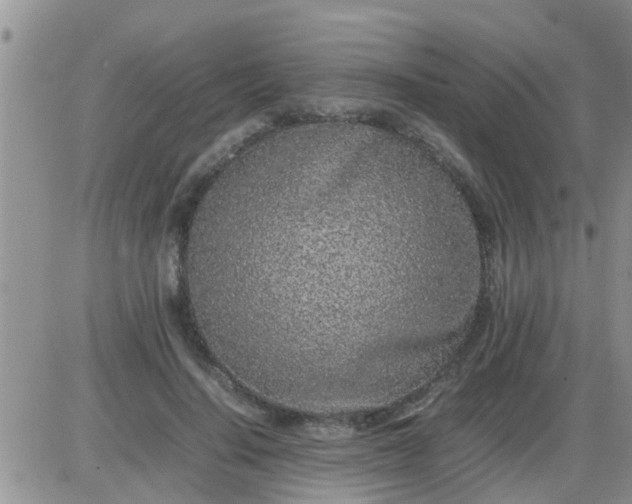 X0000085310644200703231925