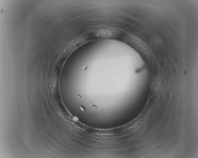 X0000085310645200703231925