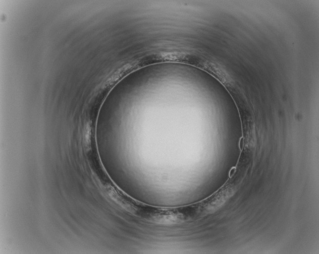 X0000085310646200703231925