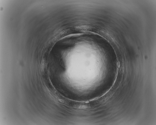 X0000085310647200703231925