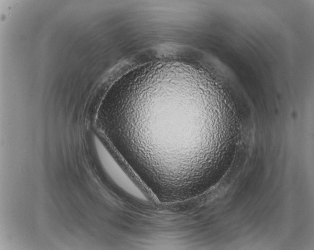 X0000085310648200703231925