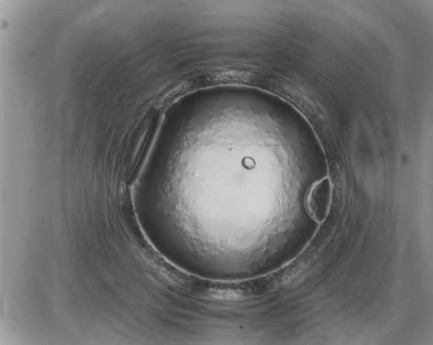 X0000085310649200703231925