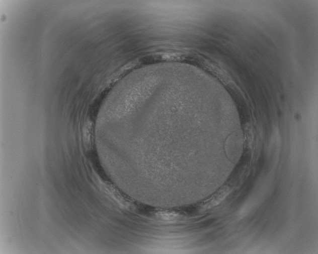 X0000085310650200703231925