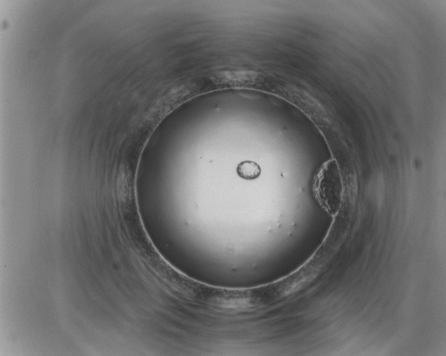 X0000085310651200703231925