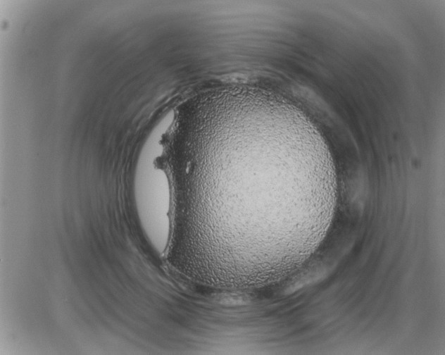 X0000085310652200703231925