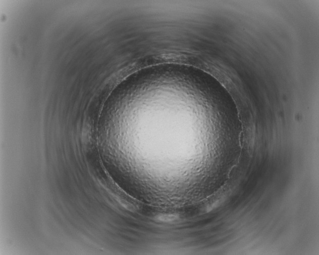 X0000085310653200703231925