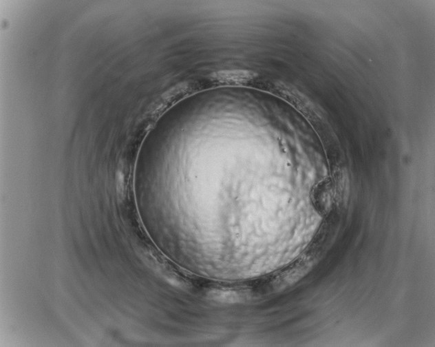 X0000085310655200703231925