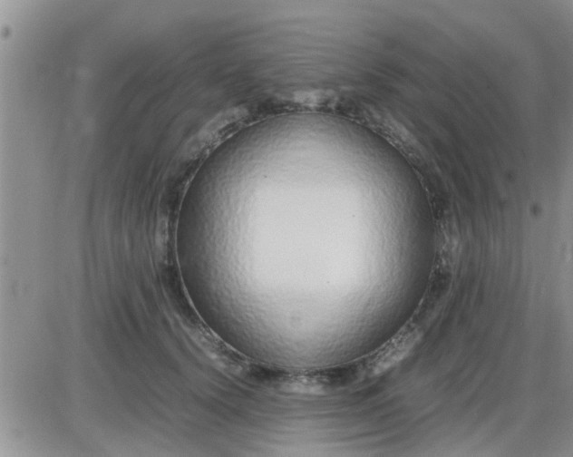 X0000085310656200703231925