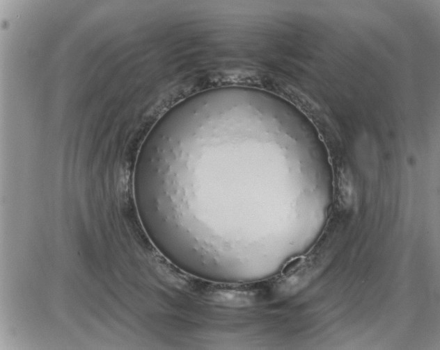 X0000085310657200703231925