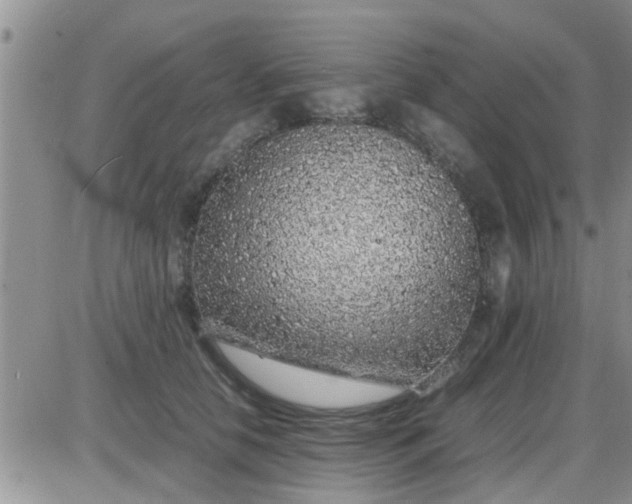 X0000085310658200703231925