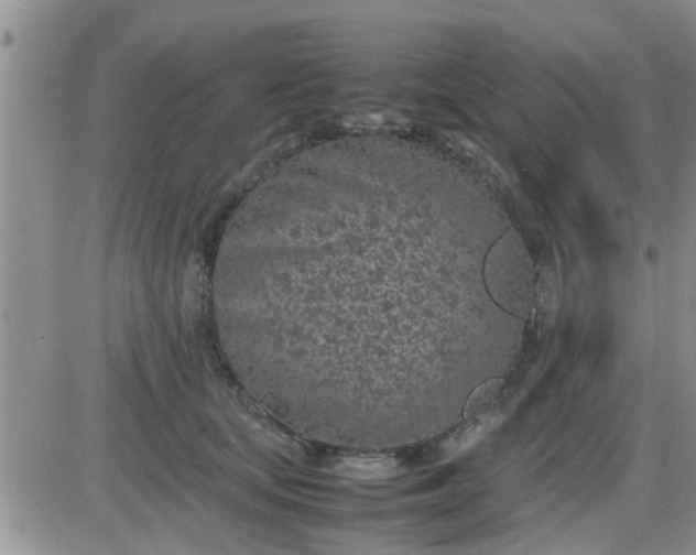 X0000085310659200703231925