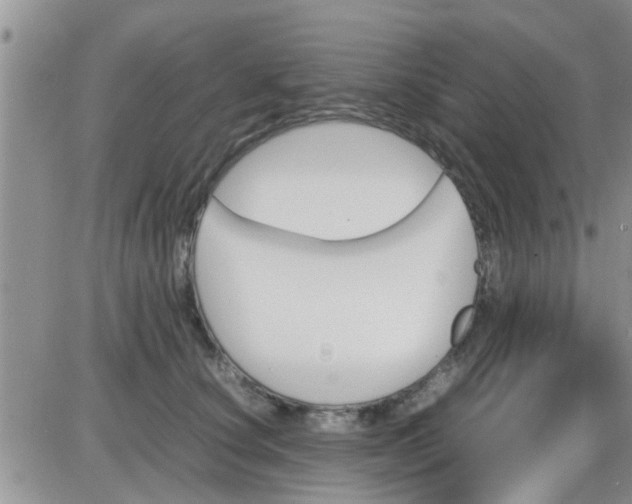 X0000085310660200703231925