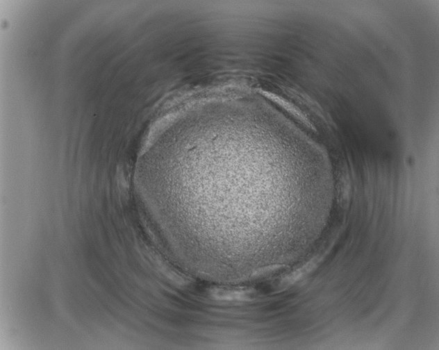 X0000085310661200703231925