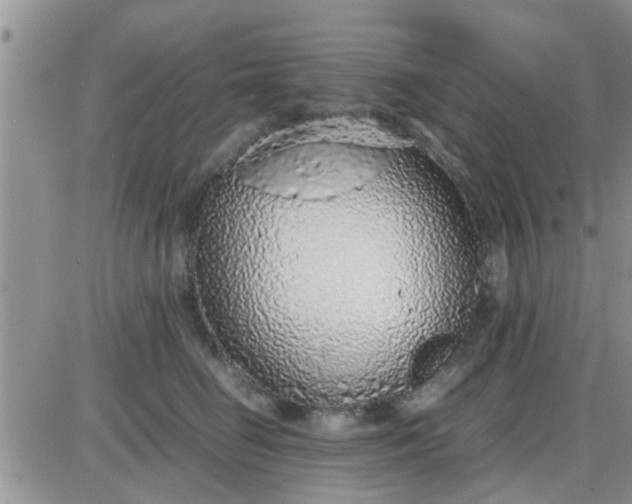 X0000085310662200703231925