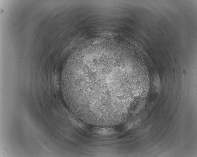 X0000085310663200703231925