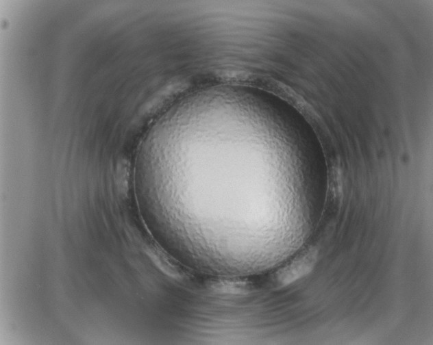 X0000085310664200703231925