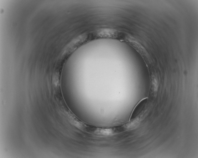 X0000085310665200703231925