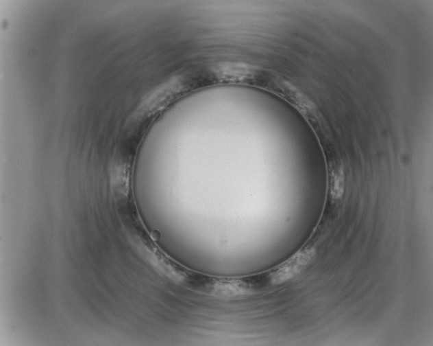 X0000085310666200703231925