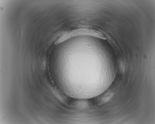 X0000085310668200703231925