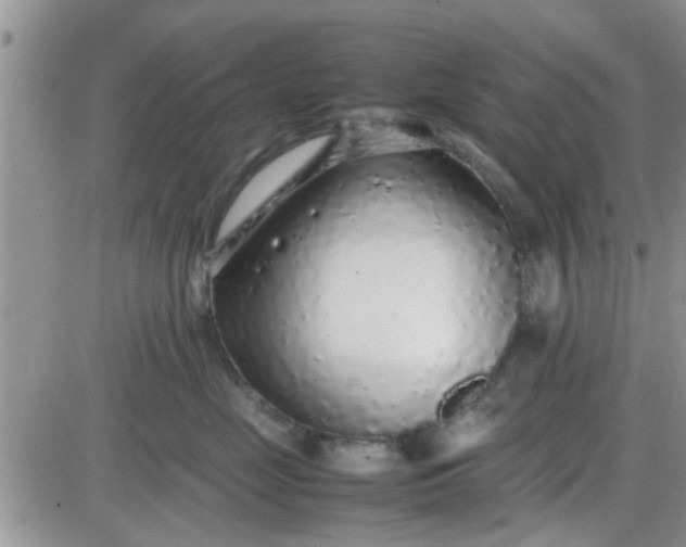 X0000085310669200703231925