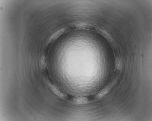 X0000085310670200703231925