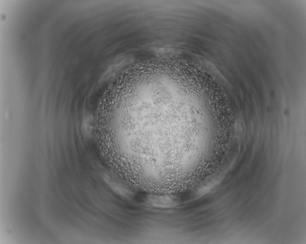 X0000085310671200703231925