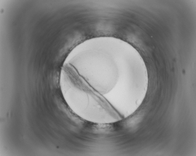 X0000085310672200703231925