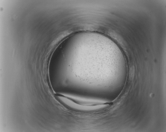 X0000085310673200703231924