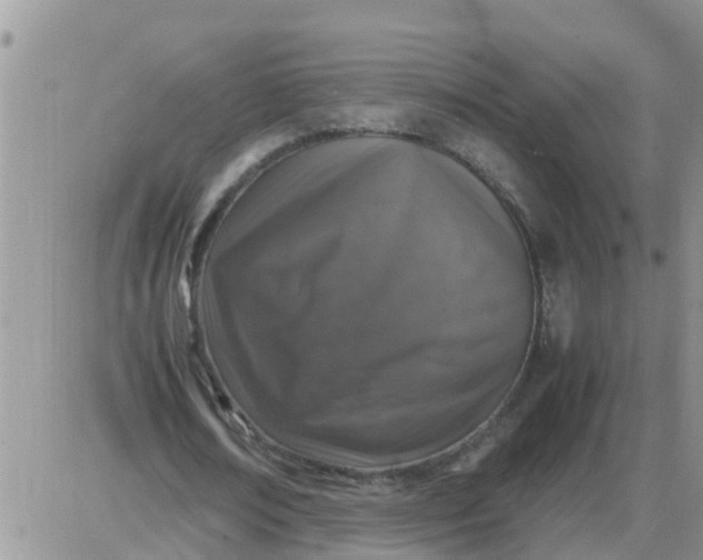 X0000085310674200703231924