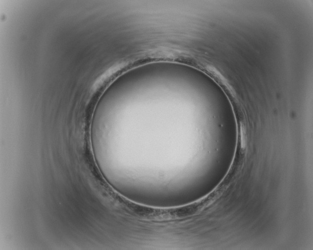 X0000085310675200703231924