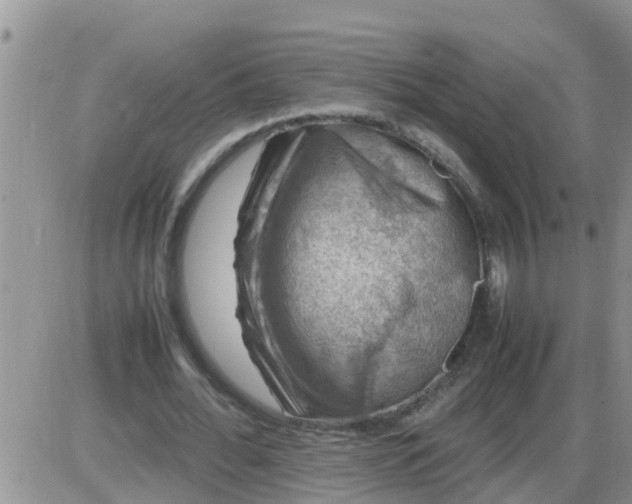 X0000085310676200703231924