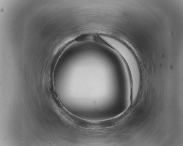 X0000085310677200703231924