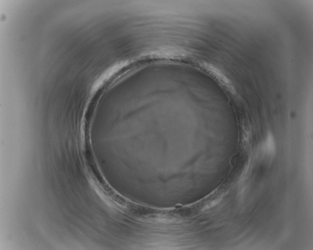 X0000085310678200703231924