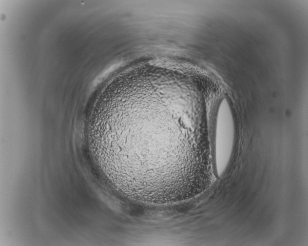 X0000085310679200703231924